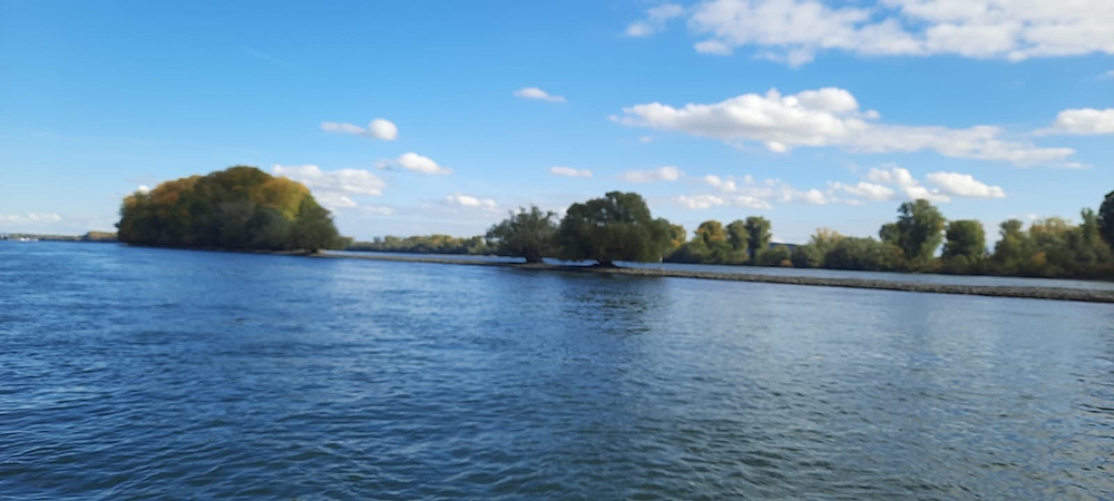 Ingelheimer Yacht Club e.V.